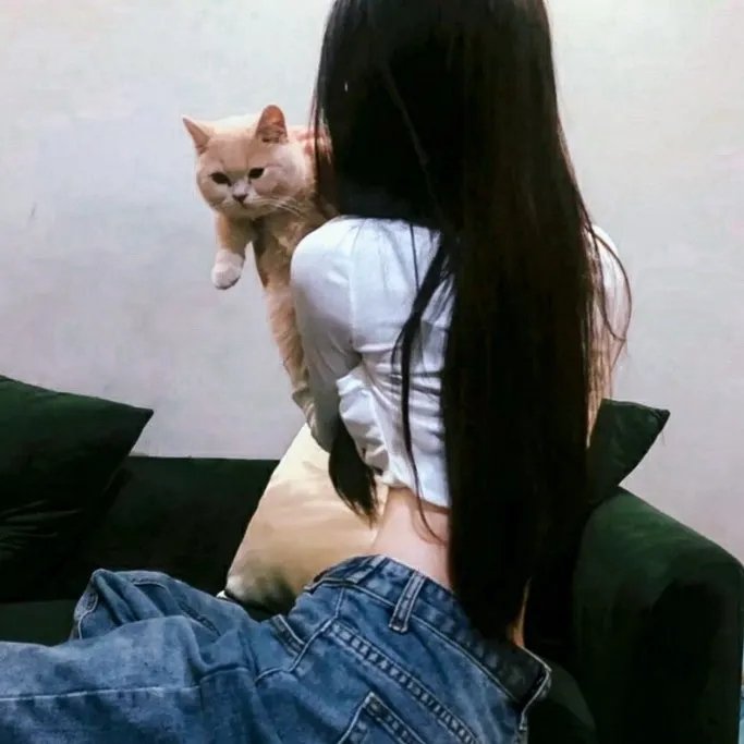 警犬嬷嬷历险记